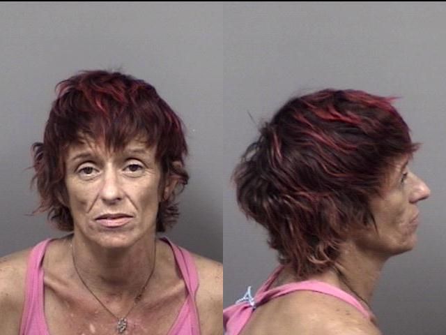 April Hyden arrested Nov. 22 on a misdemeanor charge of petit theft.